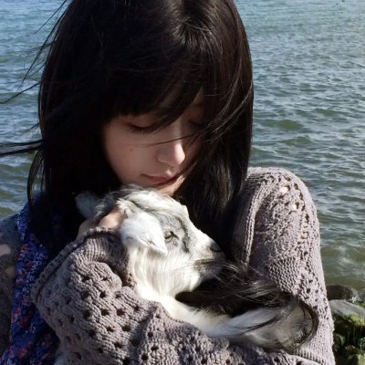 2026热播剧精选第147期